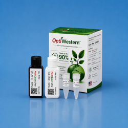 OptiWestern ECL Detection...